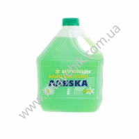 Омивач скла зимовий АЛЯSКА цитрусовий -20 3л