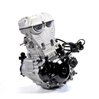 Двигатель в сборе NC300S 182MN (двухвальный)