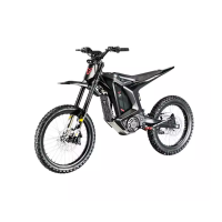 Электромотоцикл Arctic Leopard Clouded XE PRO S