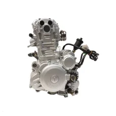 Двигатель в сборе ZONGSHEN CBS300 174FMM (6 передач)